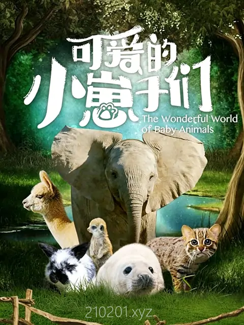 可爱的小崽子们.webp