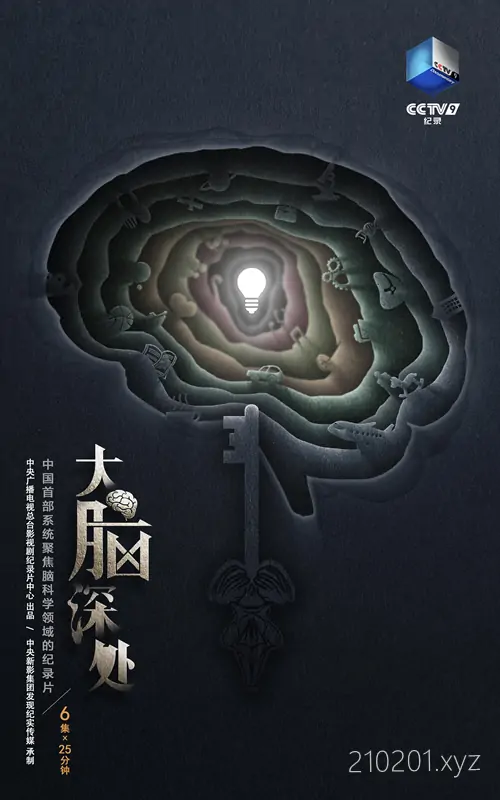 《大脑深处》央视纪录片全 6 集视频资源在线观看下载