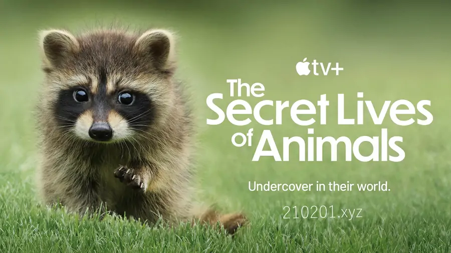 动物的秘密生活 The Secret Lives of Animals 纪录片全10集下载