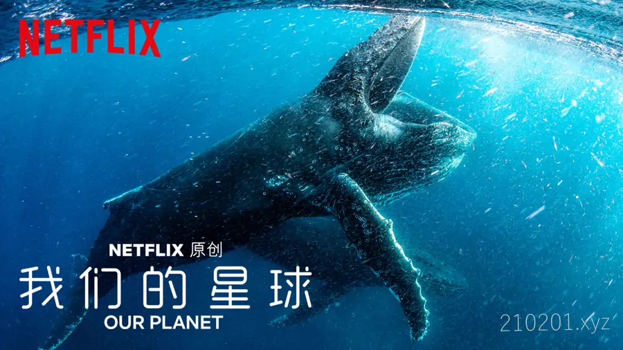 我们的星球(Our Planet).webp