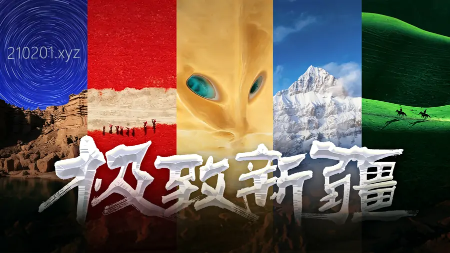 极致新疆.webp