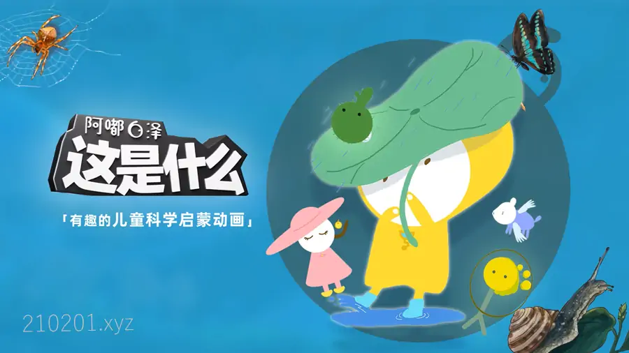 阿嘟白泽科学动画片《这是什么》超有趣儿童科学启蒙全2季共200集