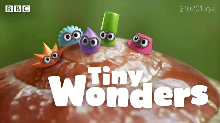 小奇迹(Tiny Wonders).webp