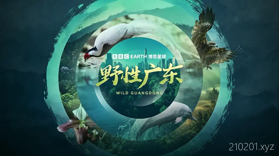 野性广东(Wild Guangdong).webp
