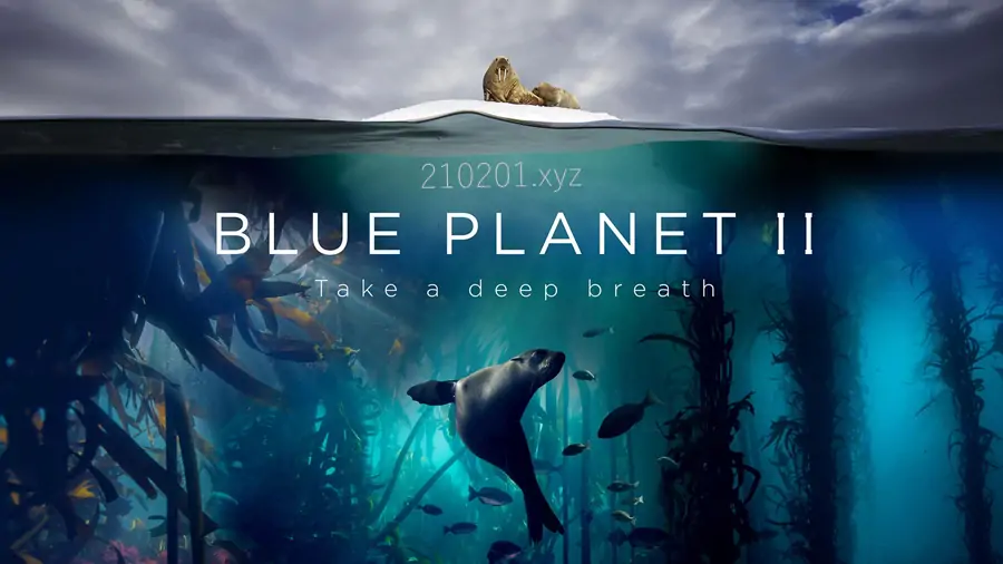 蓝色星球 The Blue Planet 纪录片英文版带中文字幕1-2两季全15集