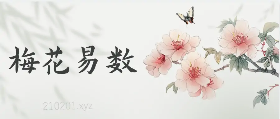 「梅花易数」PDF电子书自学入门视频合集