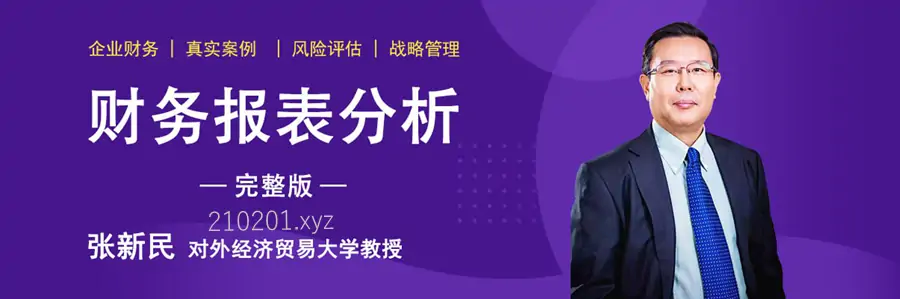 张新民零基础企业财务报表分析音视频课程最全合集