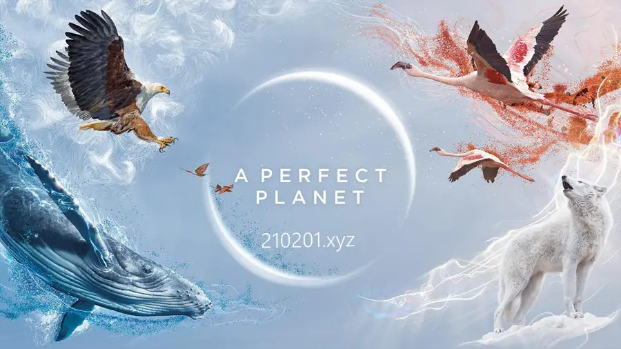 完美星球(A Perfect Planet).webp