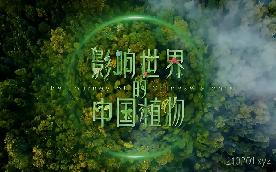 影响世界的中国植物.webp
