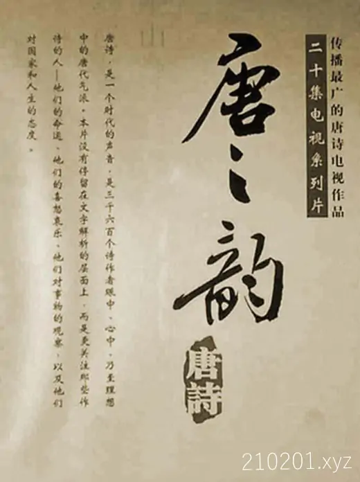 唐之韵.webp