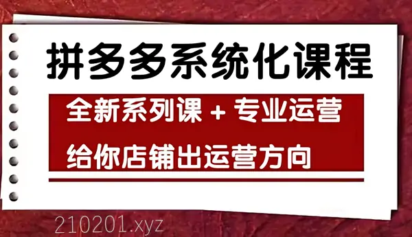 [思益学院] 纪主任《车神陪跑：拼多多系统化课程》