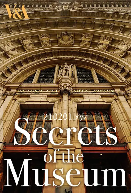 博物馆的秘密(Secrets of the Museum).webp