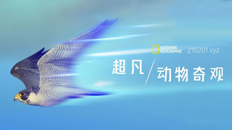 超凡/动物奇观(Super Natural).webp