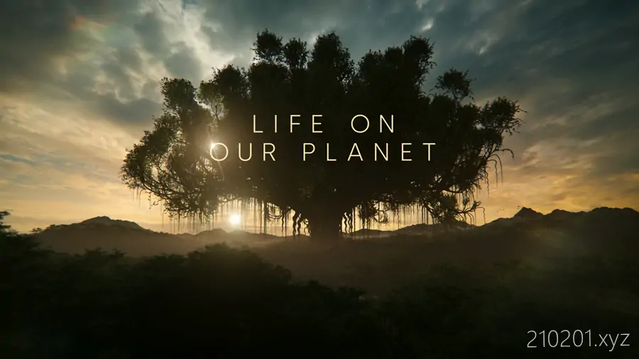我们星球上的生命(Life on Our Planet).webp
