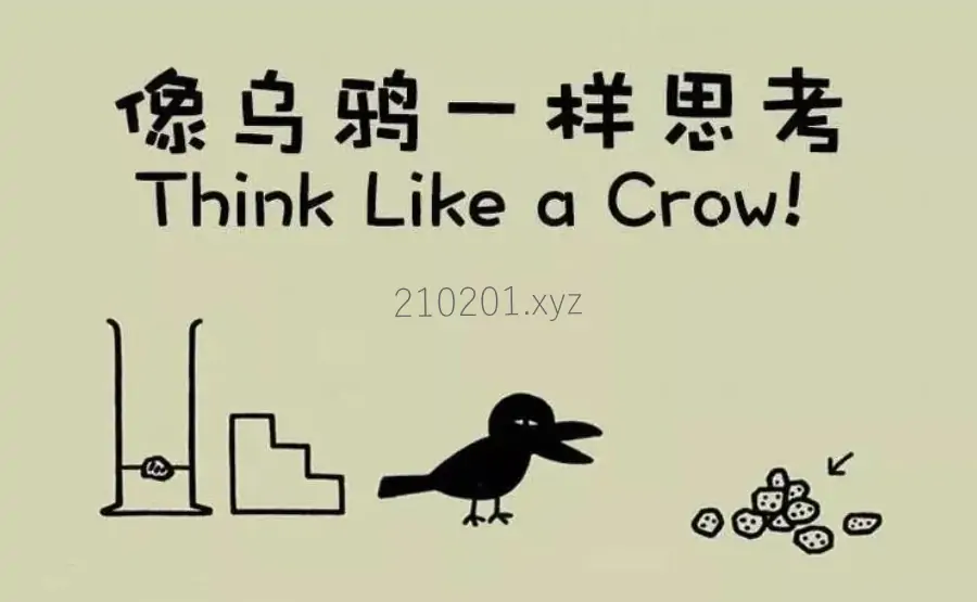 像乌鸦一样思考.webp