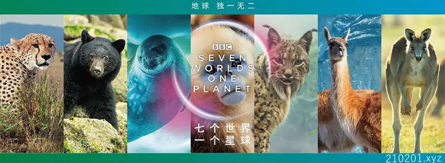 七个世界一个星球(Seven Worlds, One Planet).webp
