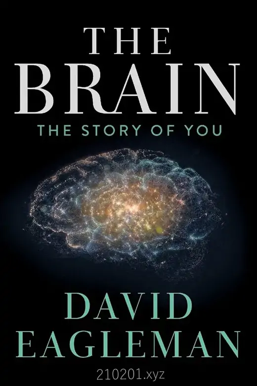 深入大脑 The Brain with David Eagleman.webp