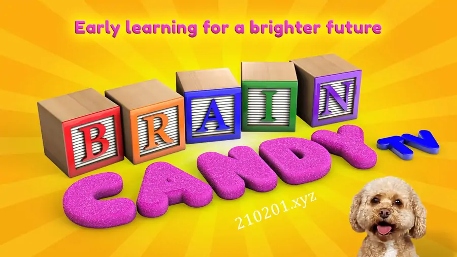 Brain Candy TV.webp