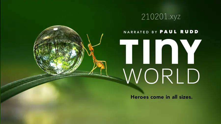 小小世界 Tiny World 纪录片全1~2季共12集中英文版下载