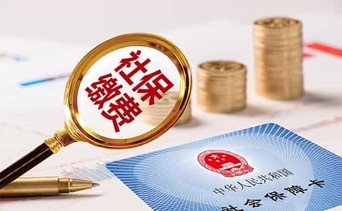 2024年度城乡居民基本医疗保险（医保）缴费
